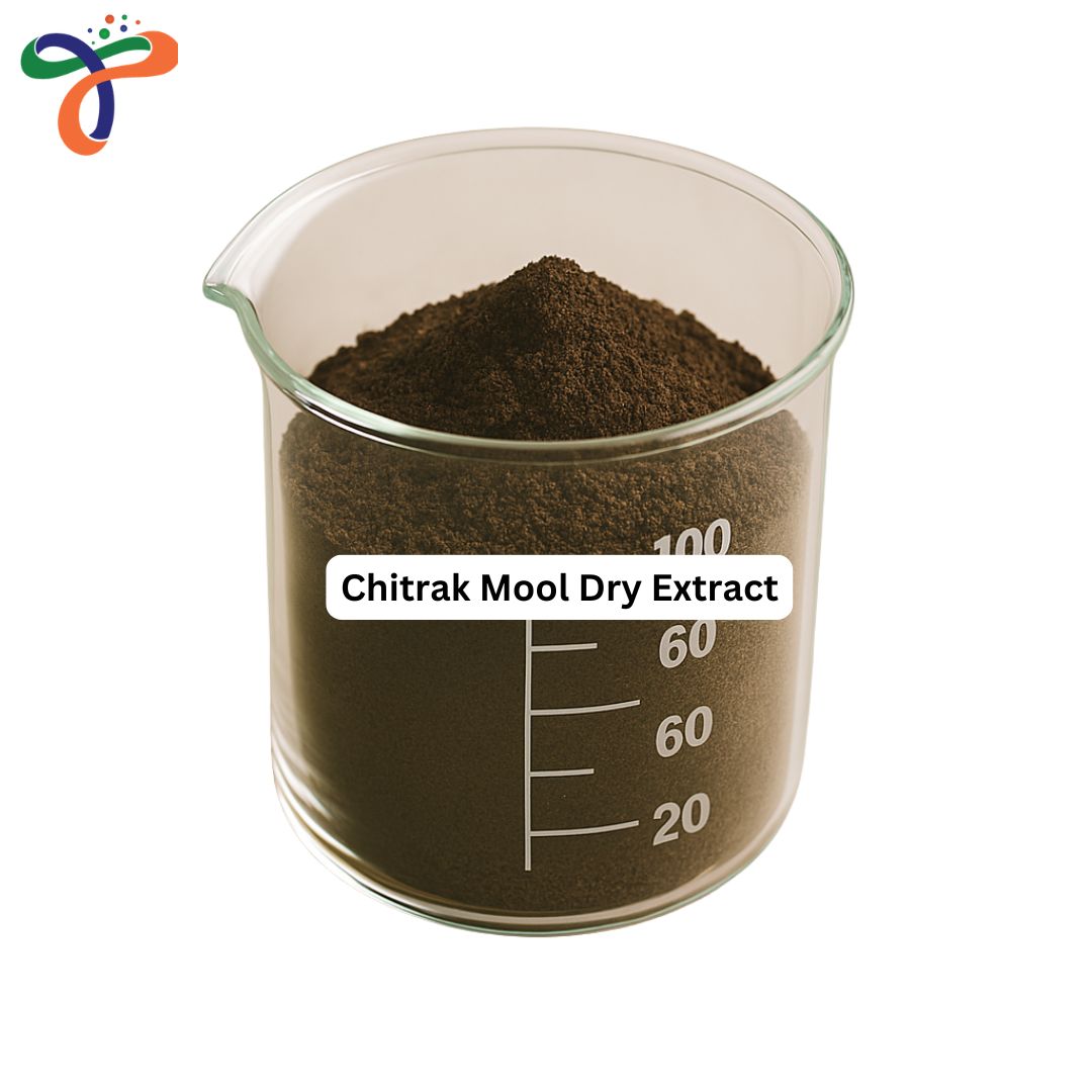 Chitrak Mool Dry Extract